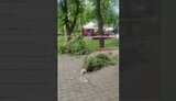 зоопарк