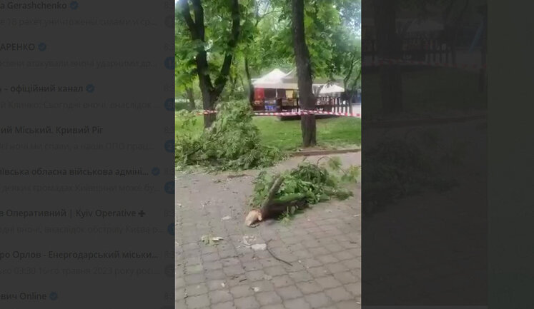 На территорию столичного зоопарка упали обломки ракеты. Сотрудники и животные не пострадали, - Кличко. ВИДЕО