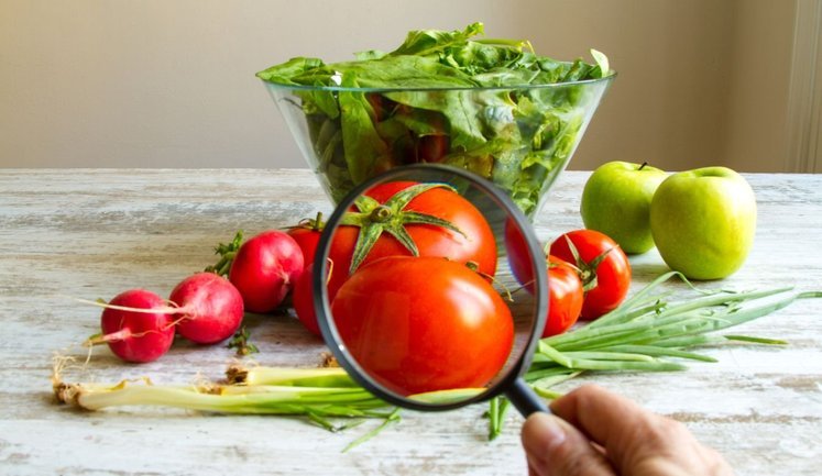 Рада готує масштабні зміни для агробізнесу та харчової промисловості: про що йдеться?