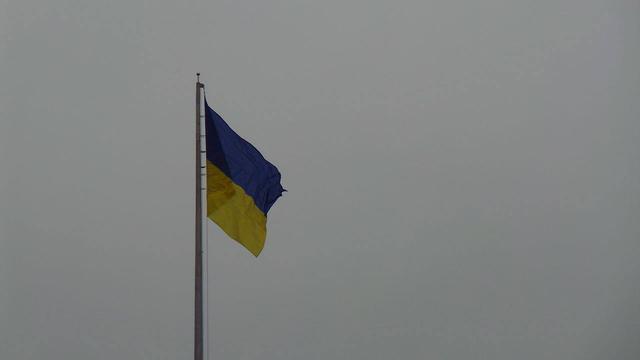 киев парад день независимости богачук