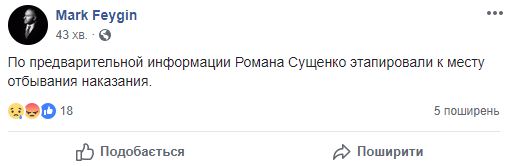 Сущенко этапировали к месту отбывания наказания, - Фейгин 01