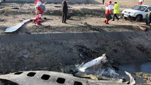 Оборонний комітет у середу розгляне питання авіакатастрофи в Ірані, - Верещук