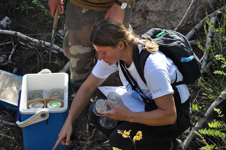 У Чернігові екологи зафіксували злочини РФ для позову у міжнародний суд 24