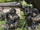 Чим французька армія замінює ПТРК Javelin?