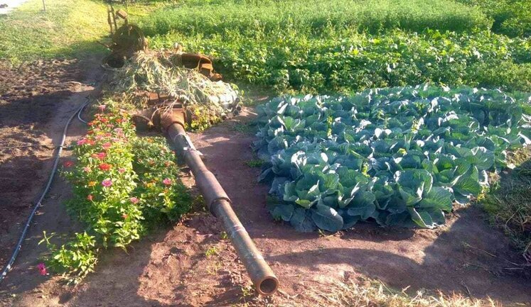 Ворожі танки пристосували на Київщині для ландшафтного дизайну. ФОТО