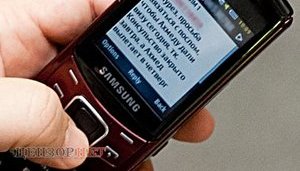 Не успеваете получить визу? Горячая линия "регионала" Мхитаряна в Раде. ФОТОрепортаж