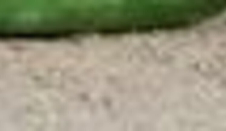 Після ударів по Керченському мосту в окупованому Криму виник дефіцит бензину