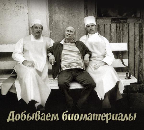 Шоколадная блокада, полезные санкции. Свежие ФОТОжабы от Цензор.НЕТ 04 Шоколадная блокада, полезные санкции. Свежие ФОТОжабы от Цензор.НЕТ 04