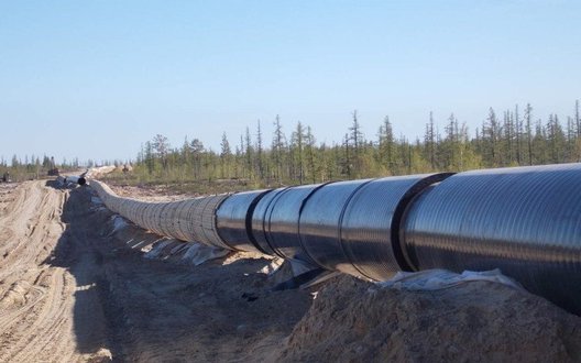 РФ планує зупинити транзит нафти до Німеччини через "Дружбу" з 1 травня, - Reuters