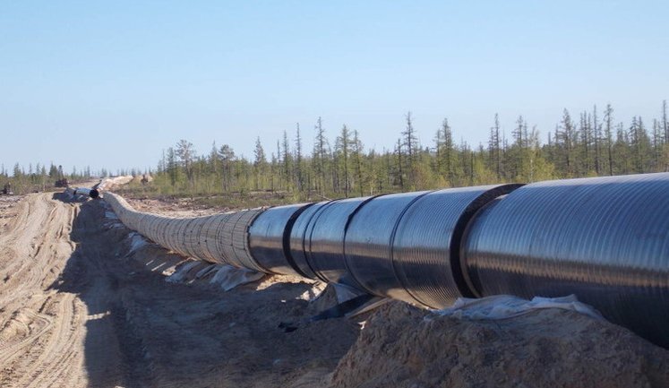 Naftogaz and Ministry of Foreign Affairs have provided diplomats from 31 countries with information on consequences of Russia’s attack on Druzhba pipeline