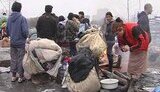 На окраине Киева неизвестные сожгли цыганский табор. ФОТОрепортаж.