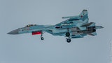 сирия,армия_рф,су-35
