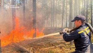 У Чорнобильській зоні через пожежу зріс рівень цезію: у Держатомрегулюванні заспокоїли щодо загрози