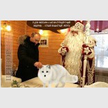 Стандартный подарок