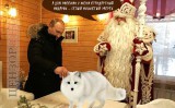 Стандартный подарок