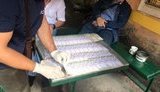Прокуратура задержала на взятке чиновника Государственного аэрогеодезического предприятия