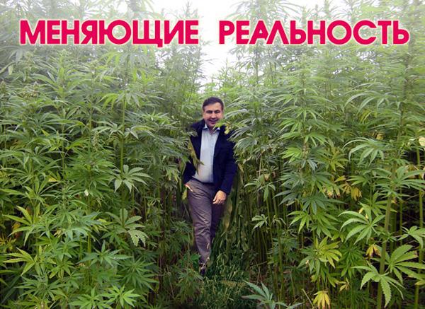 Меняющие реальность