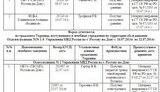 россия документ плен васильева