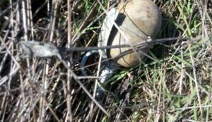 Пограничники обнаружили боевую гранату на берегу лимана на Николаевщине, - Госпогранслужба