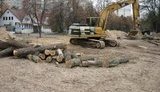 К Евро-2012 вырубили 3500 деревьев в лесу Святошинского района. ФОТОрепортаж