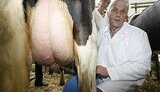 Пьяный член избиркома от партии Литвина четыре раза изнасиловал 86-летнюю старушку