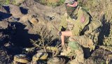 Саперы Минобороны разминировали более 4,7 тыс. гектаров деоккупированных территорий