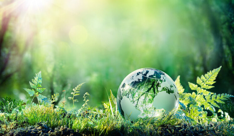 В Україні посилять контроль за засобами захисту рослин