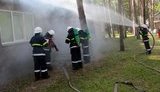 Пожар в зоопарке в Черкассах: горел павильон обезьян и мелких птиц. ВИДЕО+ФОТОрепортаж