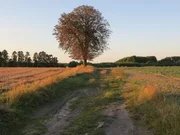 Посередник з продажу землі “Твоє коло” створює нереальні очікування в інвесторів – Кортко.Про