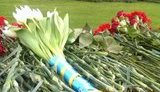 стелла
