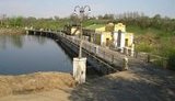 Из-за мора рыбы в Корсуне-Шевченковском вводят чрезвычайное положение