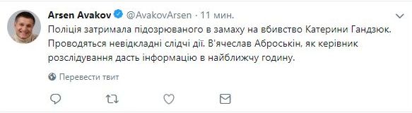 Поліція затримала підозрюваного в замаху на вбивство Гандзюк, - Аваков 01