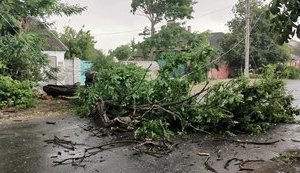 Штормовое предупреждение объявили на западе Украины