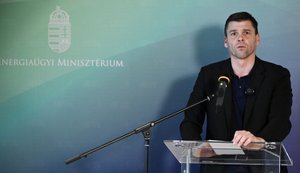 Заступник міністра енергетики Угорщини Габор Цепек