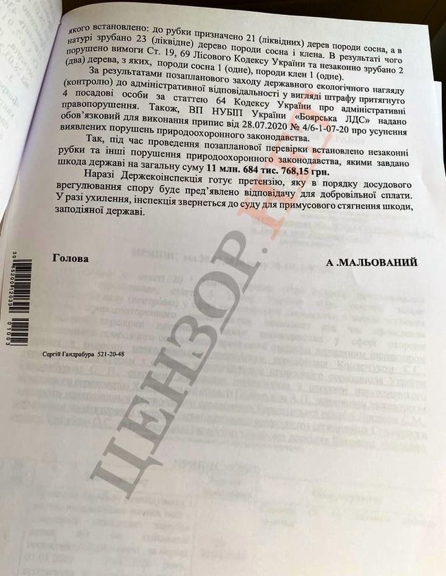 Вирубка 1363 дерев під Києвом завдала збитків на суму понад 11 млн, відкрито кримінальне провадження 03