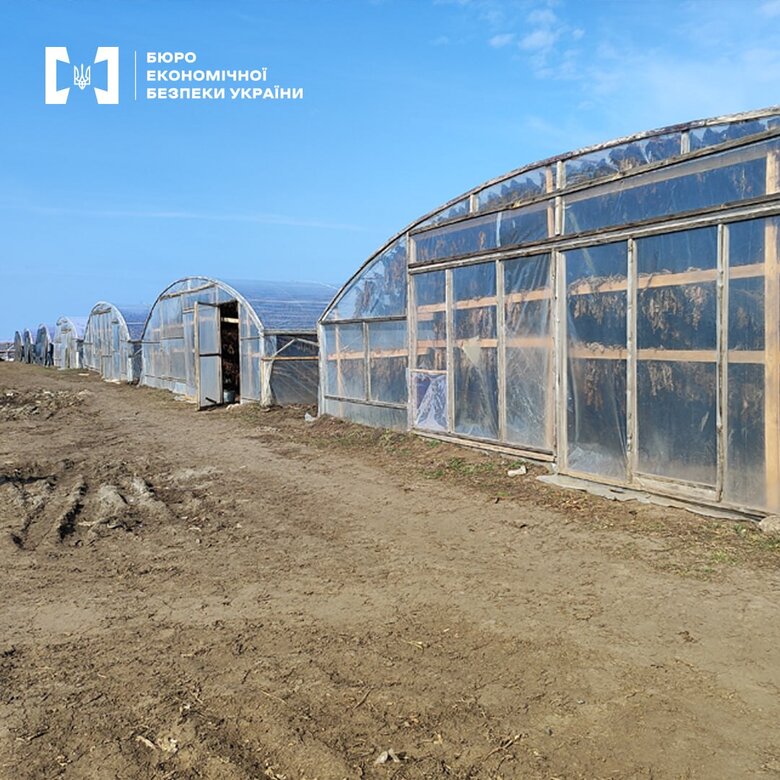 На Одещині знайшли 16 теплиць для нелегального вирощування тютюну