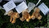 Силовики арестовали редактора сайта, опубликовавшего "минских мишек". ФОТОрепортаж
