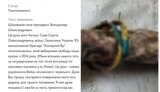 сова,катування