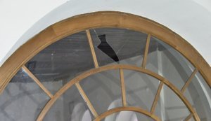 В результате атаки РФ повреждены объекты Киево-Печерской лавры. ФОТОрепортаж