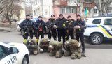 Бійці батальйону УПО Миколаївщини допомогли ЗСУ в обороні обласного центру та взяли у полон чотирьох окупантів. ВІДЕО+ФОТО