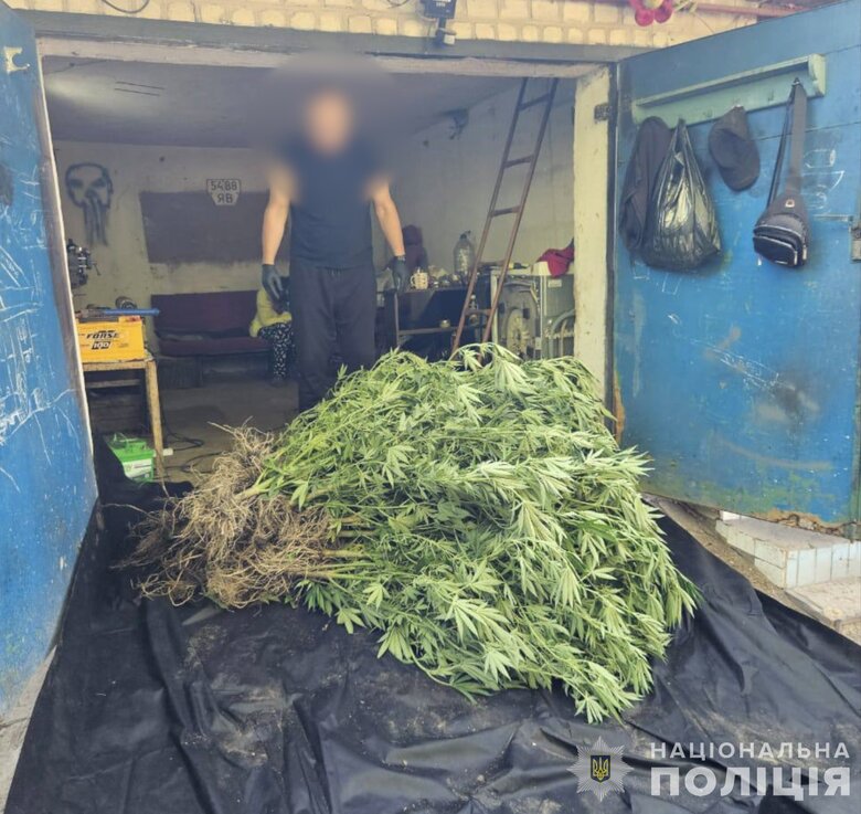 Сімейне угруповання на Дніпропетровщині організувало наркобізнес на 50 млн грн — 10 підозр
