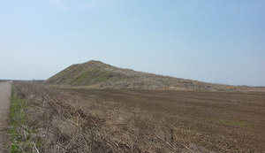 херсонщина,курган