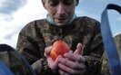 Росіяни стратили понад 110 українських військовослужбовців у місцях несвободи