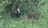 россиянин бьет палкой по дрону
