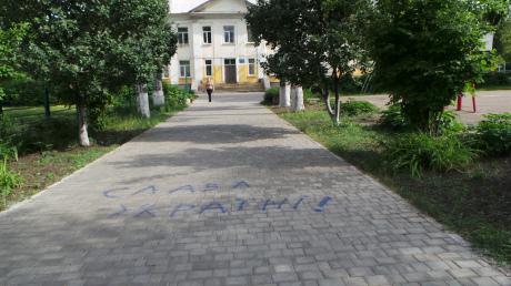 выборы