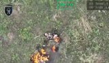 Бійці 42 ОМБр влучно поцілили дроном в окупанта та ліквідували його