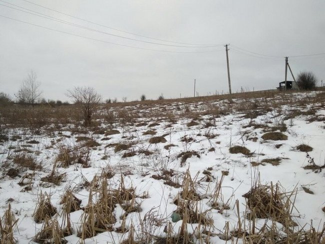 Дві схованки з боєприпасами виявлено на Донеччині, - СБУ 02