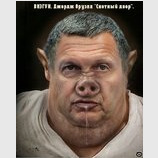 В мире животных