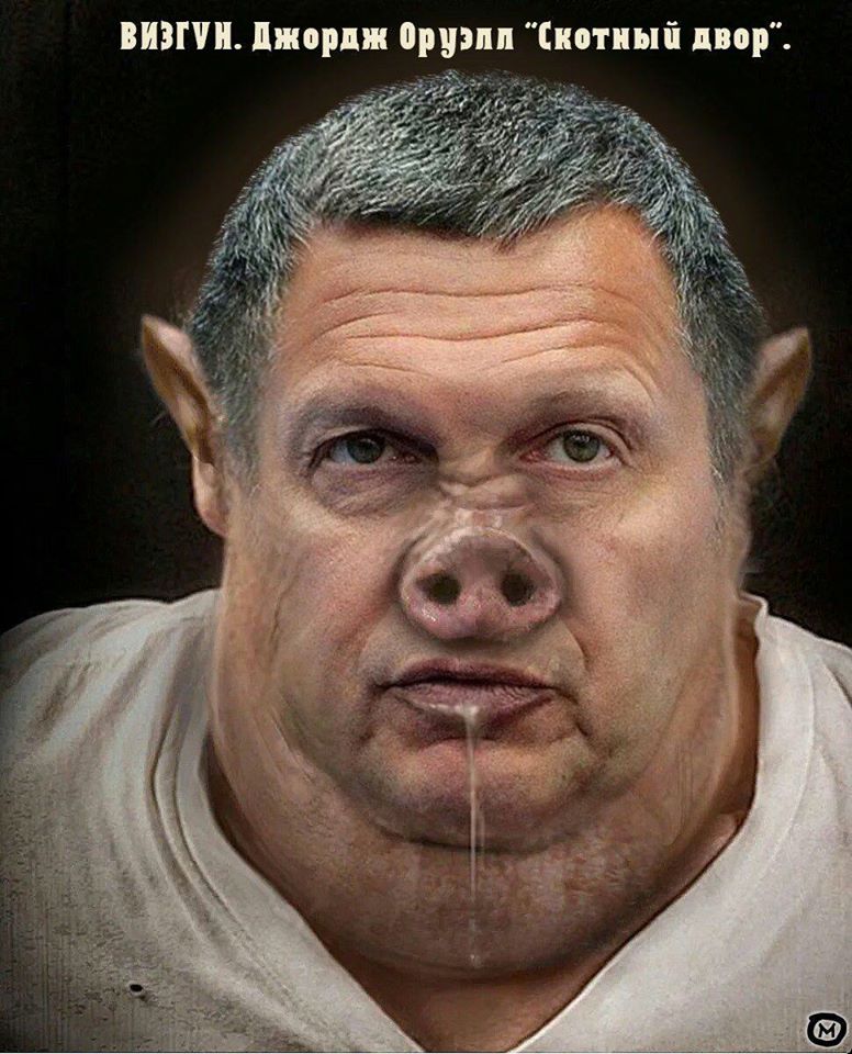 В мире животных