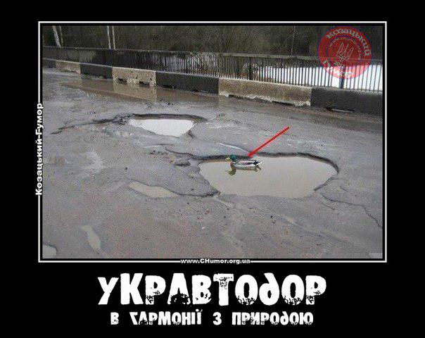 В гармонии с природой